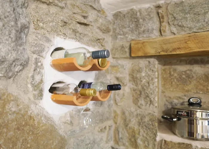 Casa Borealis Vila *